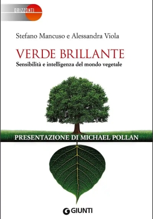 Verde Brillante fronte