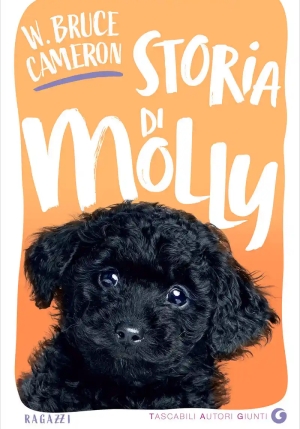 Storia Di Molly fronte