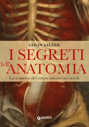 I Segreti Dell'anatomia fronte