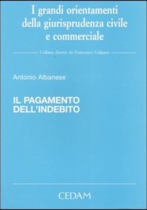 Pagamento Dell'indebito fronte