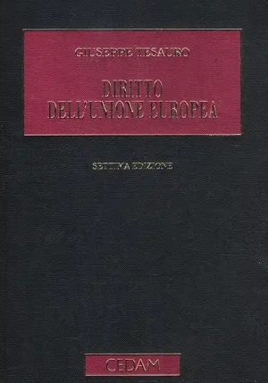Diritto Dell' Unione Europea fronte