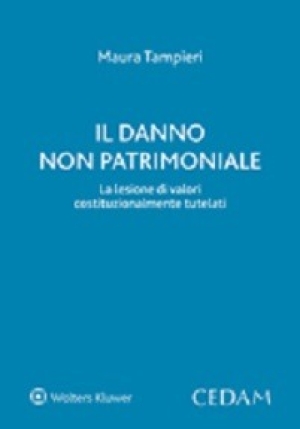 Danno Non Patrimoniale fronte