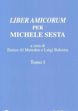 Liber Amicorum Per Michele Sesta 2tomi fronte
