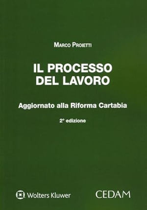 Processo Del Lavoro 2ed. fronte