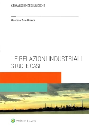Relazioni Industriali Studi E Casi fronte
