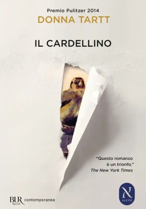 Cardellino fronte