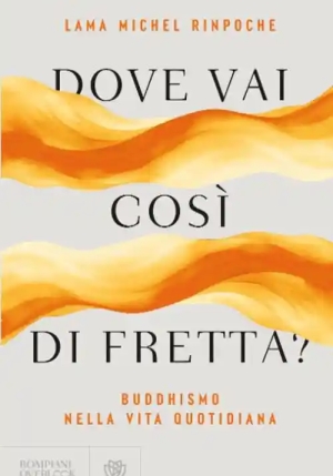 Dove Vai Di Fretta? Buddismo Per Non Buddisti fronte