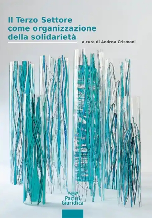 Il Terzo Settore Come Organizzazione Della Solidarieta' fronte