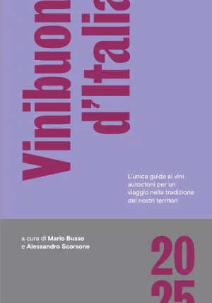 Vini Buoni D'italia 2025 fronte