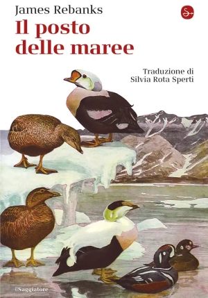 Posto Delle Maree (il) fronte