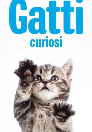 Gatti Curiosi. Calendario 2026 fronte