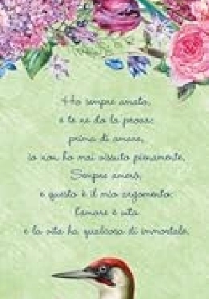 Calendario Emily Stretto 2026 fronte