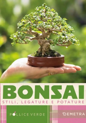 Bonsai. Stili, Legature E Potature fronte