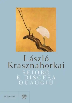 Seiobo ? Discesa Quaggi? fronte