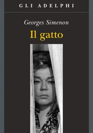 Gatto fronte