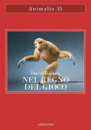 Regno Del Gioco (il) fronte