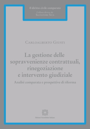 Gestione Delle Sopravvenienze fronte