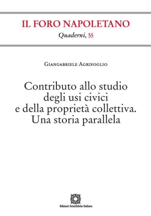 Contributo Studio Usi Civici fronte