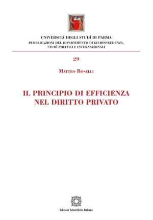 Principio Efficienza Diritto P fronte