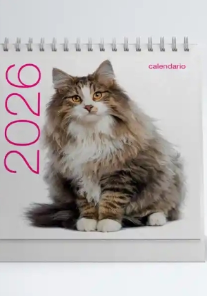 Gatti. Calendari Da Tavolo 2026 fronte