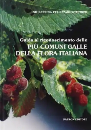 Guida Al Riconoscimento Galle fronte