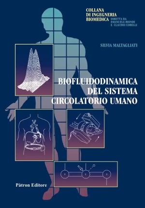 Biofluidodinamica Del Sistema fronte