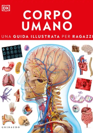 Corpo Umano fronte