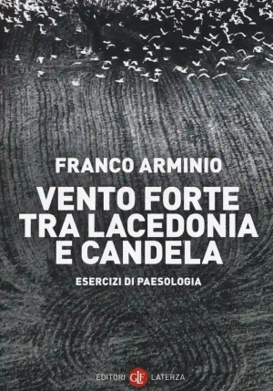 Vento Forte Tra Lacedonia E Candela. Esercizi Di Paesologia fronte