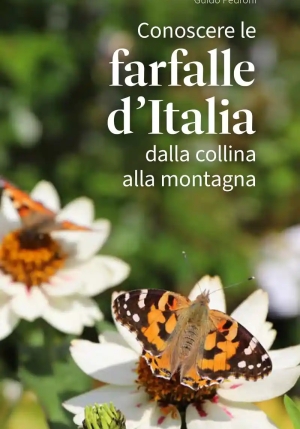 Conoscere Le Farfalle D'italia fronte