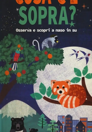 Cosa C'? Sopra? Osserva E Scopri A Naso In Su. Libro Pop-up. Ediz. A Colori fronte