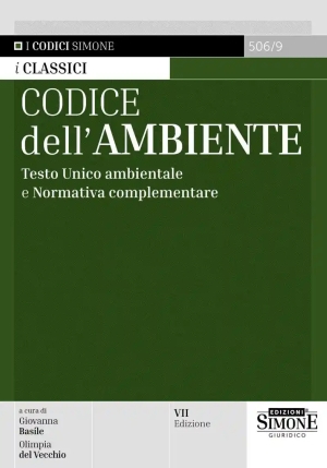 Codice Ambiente Minor 2025 7ed. fronte