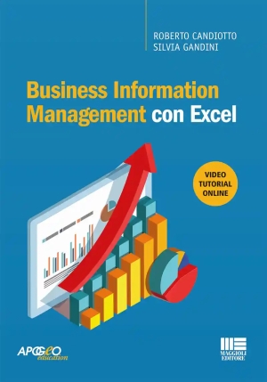 Business Information Management Excel fronte