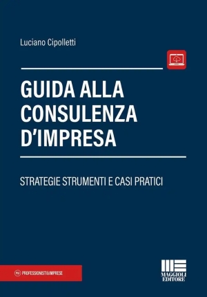 Guida Consulenza D'impresa fronte