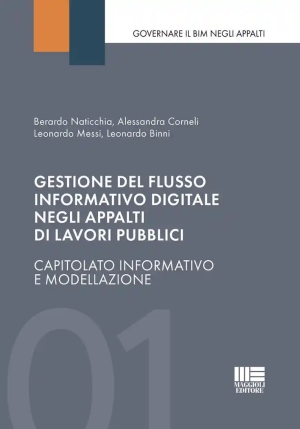 Gestione Flusso Informativo Digitale Negli Appalti fronte