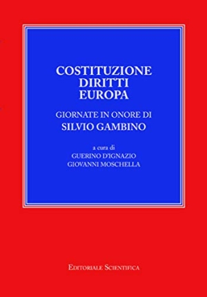 Costituzione Diritti Europa fronte