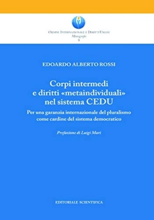 Corpi Intermedi Diritti Metain fronte