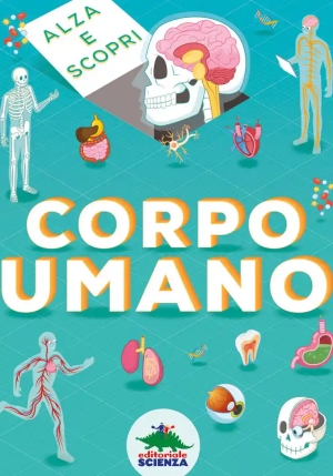 Corpo Umano. Alza E Scopri fronte