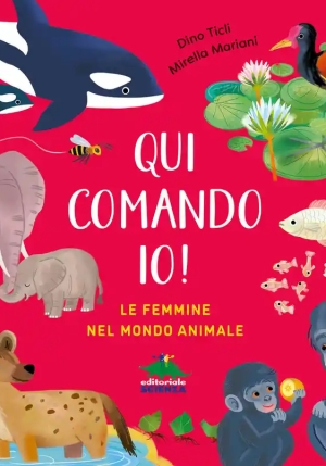Qui Comando Io fronte