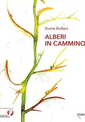 Alberi Cammino fronte