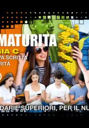 Blitz... Attualita' Maturita' Tipologia C fronte