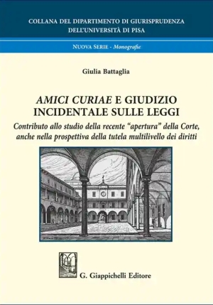 Amici Curiae Giudizio Incidentale Leggi fronte