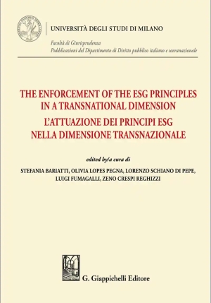 Enforcement The Esg Priciples fronte