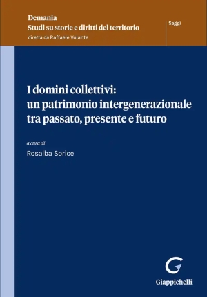 Domini Collettivi fronte