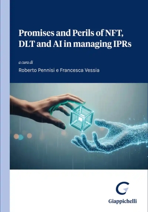 Promise And Perils On Nft fronte