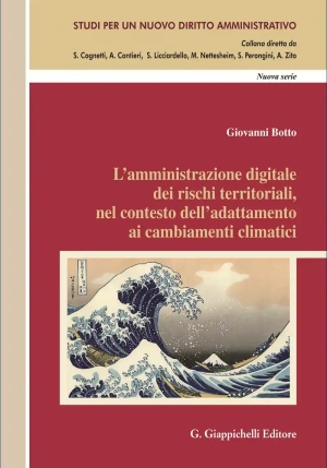Amministrazione Digitale Rischi Territ. fronte