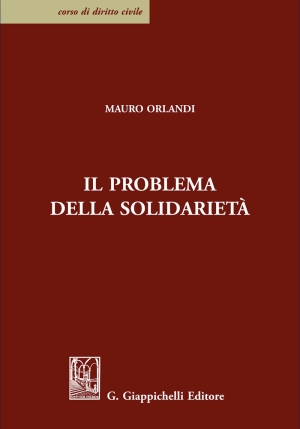 Problema Della Solidarieta' fronte