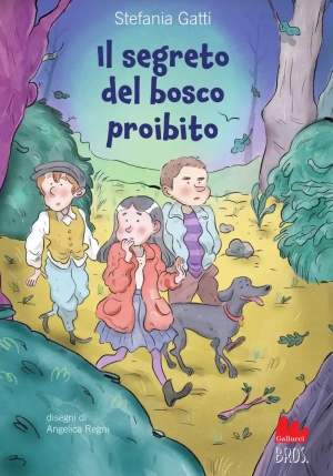 Il Segreto Del Bosco Proibito fronte