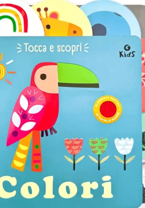 Colori fronte