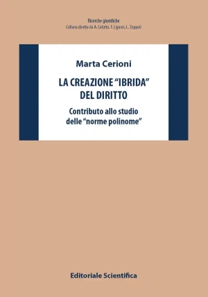 Creazione Ibrida Del Diritto fronte