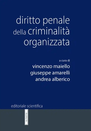 Diritto Penale Criminalita' Organizzata fronte